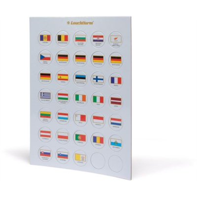 333463 - Puces Drapeau EURO